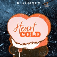 Heart Cold - Single - K Jungle Lit