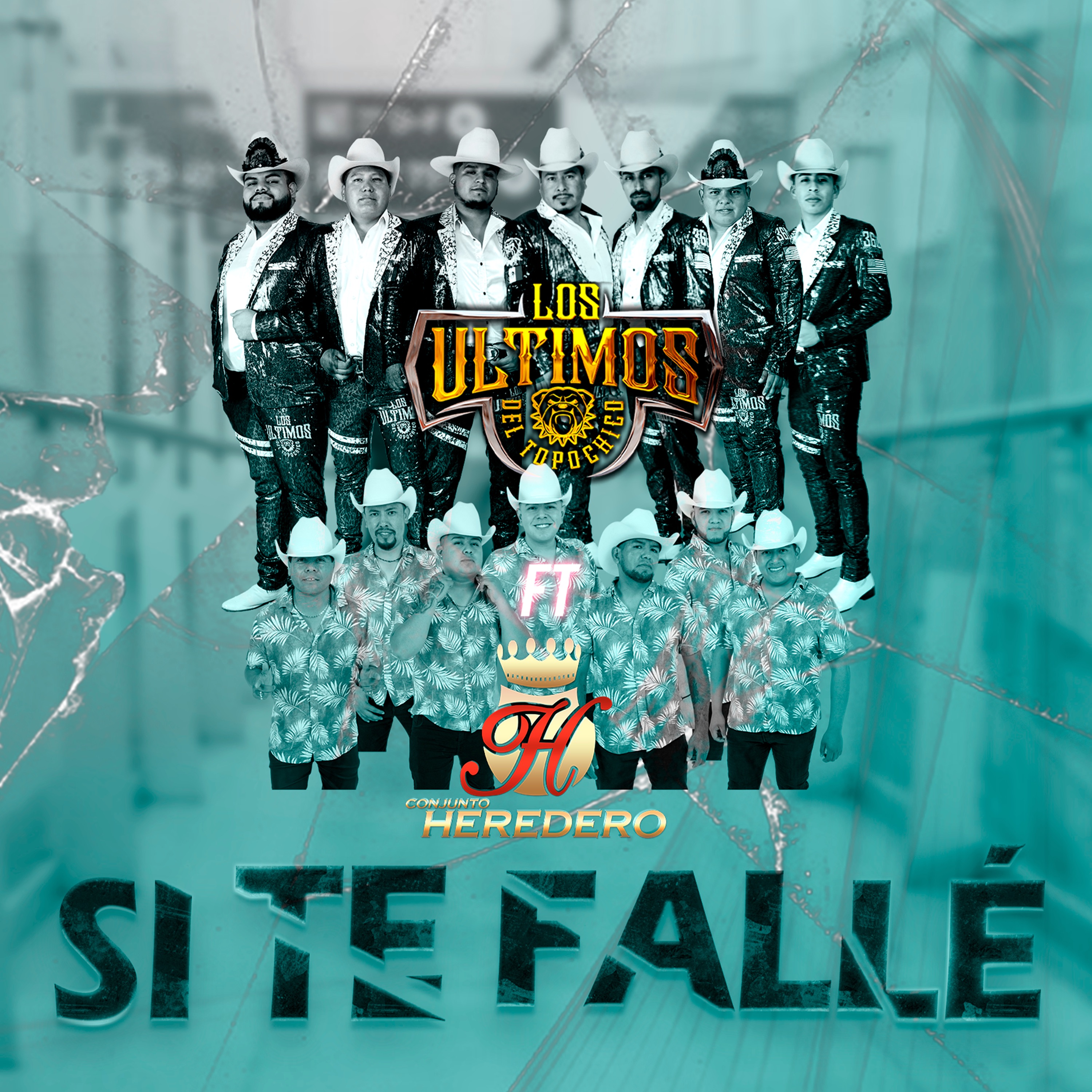 Si te Fallé - Single