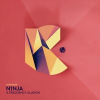 A Frequency Illusion - Single - N1NJA