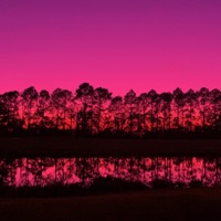 HMB (Shwevs flip) - Single - Puh-Geez