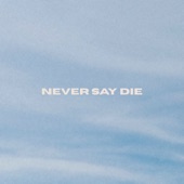 Never Say Die artwork