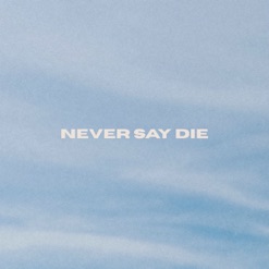 NEVER SAY DIE cover art