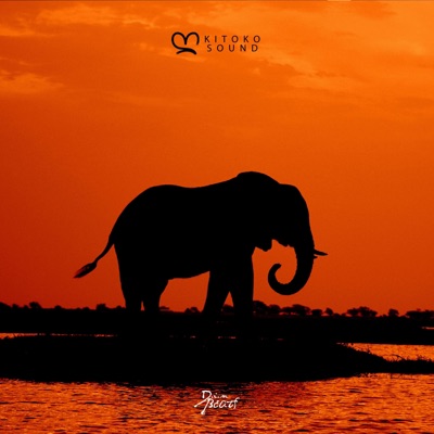 Botswana (feat. Kanda Beats, Din BEATS & Kitoko Drums) - Single