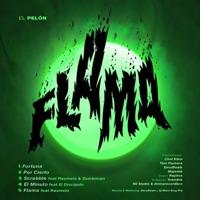 Flama - EP - El Pelon & ZecoBeats
