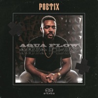 Aqua Flow (feat. Denzel) - Single - Poetix