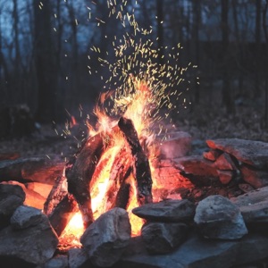 Burning Logs on an Open Fire - Single