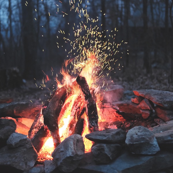 Burning Logs on an Open Fire - Single