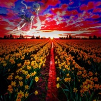 Daffodil Skies - Single - Subspace
