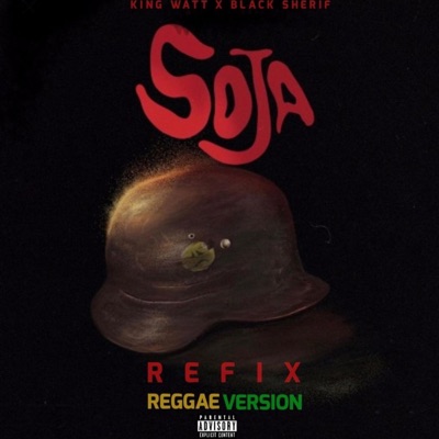 Soja-Refix - Single