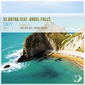 Unity (Remixes, Pt. 1) [feat. Angel Falls] - Single