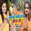 Ghumadi Babadham Jija Ji - Single