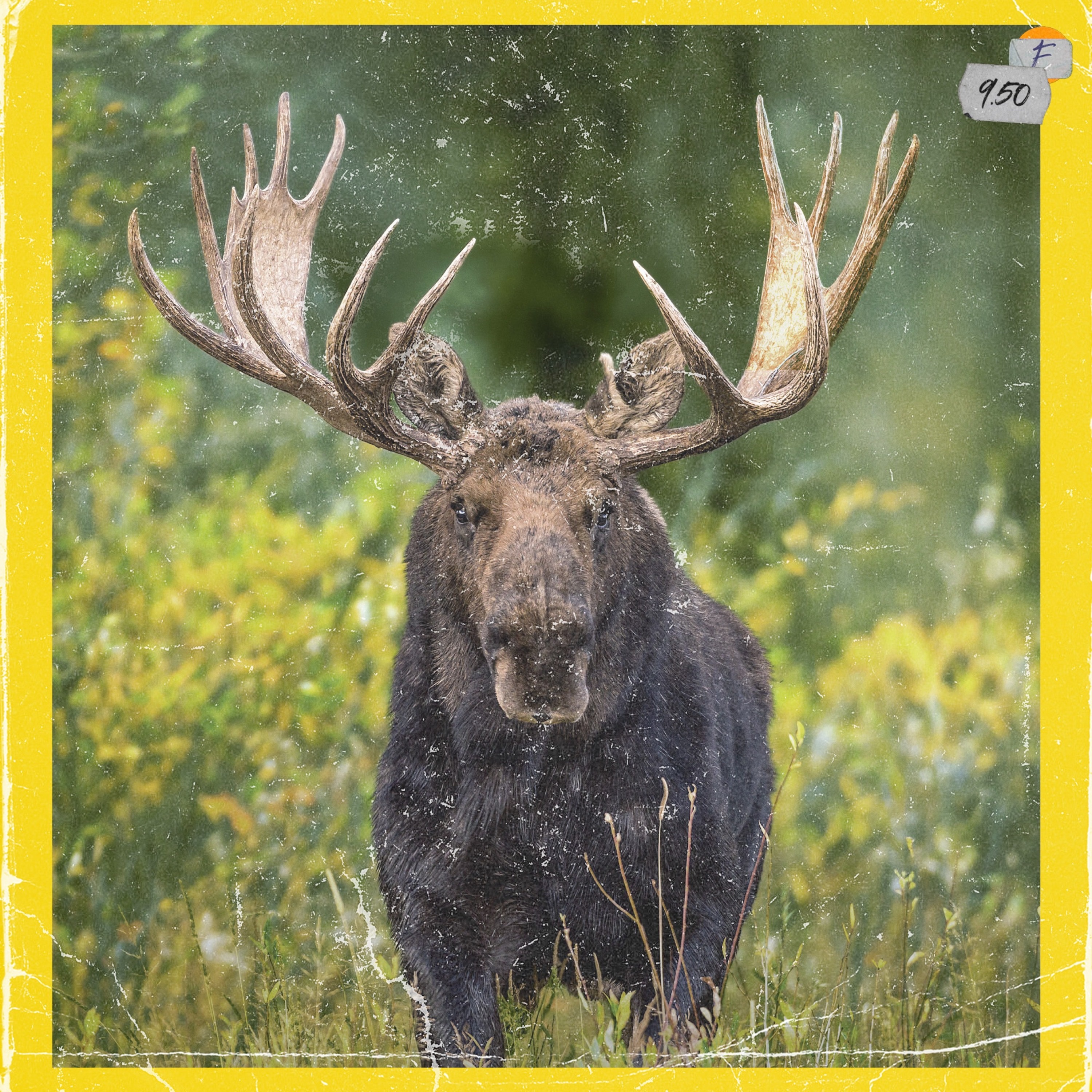 National Geographic Shit