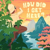 How Did I Get Here? artwork