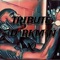 Tribute ( D^Rx M^N X) - King Krus lyrics