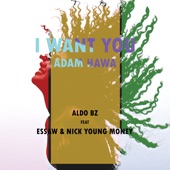 I Want You (Adam Hawa) [feat. Essaw & Nick Young Money] artwork