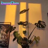 kaputt aber dankbar - Single - Scholli & LaserDom