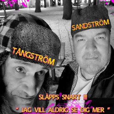 Jag vill aldrig se dig mer (feat. Arne Sandström) - Single