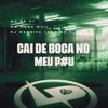 Cai de Boca no Meu P#U - Single