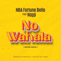 No Wahala (hakuna matata) (feat. Napji) - Single - NBA Fortune Bello