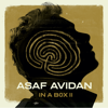 Asaf Avidan - Her Lies (In a Box II Version) artwork