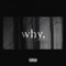 why. (feat. BudaMane) - Shvle lyrics