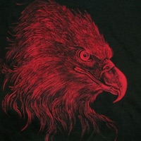 L'aigle Royal (feat. LuvB) - Single - OverDose