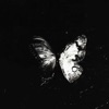 Butterfly - Single