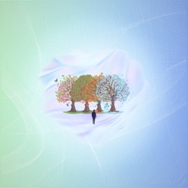 come back home this season Halric