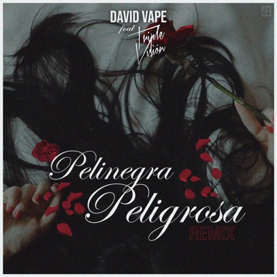 Pelinegra Peligrosa (Remix) [feat. Triple Vision] - Single