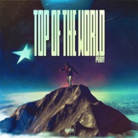 Top of the World - Single - PERRY