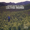 Cultivos Andinos (feat. Armageddon, AnP & Versos) - Single