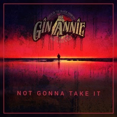 Not Gonna Take It - Single