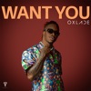 Want You - Single