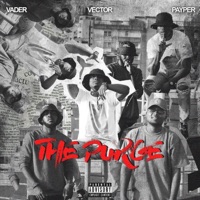The Purge (feat. Vader The Wild Card & Payper Corleone) - Single - Vector