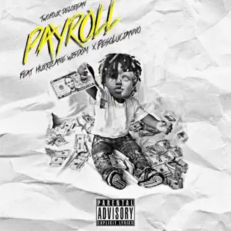 PayRoll (feat. Hurricane Wisdom & Peso Lucianno) - Single by TWOFOUR DELOREAN album reviews, ratings, credits