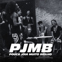 Pouca Joia Muito Brilho - Single - Santanna041, Braga 041, NegoZero & Ceejay SDB