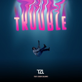 Trouble (feat. Lekan Salamii) TZL