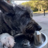 Respawn - Single - Tony Phat