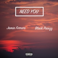 Need you (feat. Black Prinzz) - Single - Jamie Ferrari