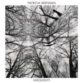 Patricia Brennan - Solar