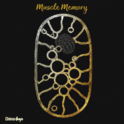 Muscle Memory - Single