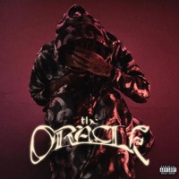 The Oracle - Nue