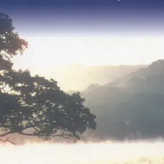 收听 科内利乌斯 · 豪普特曼、观看音乐视频、阅读小传、查看巡演日期等 ！