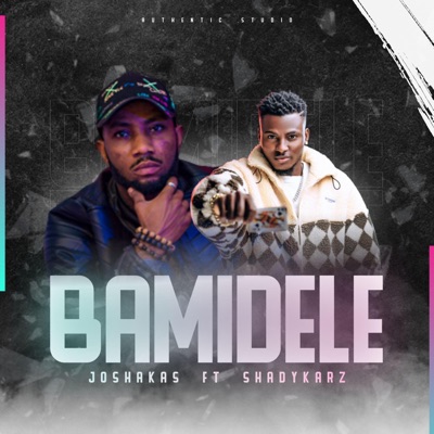 BAMIDELE (feat. SHADYKARZ) - Single