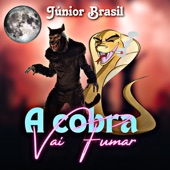 A Cobra Vai Fumar artwork