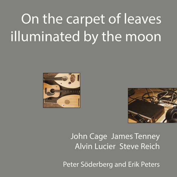 On the Carpet of Leaves Illuminated by the Moon