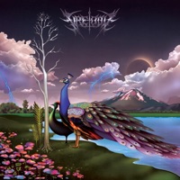 Field Whispers (Into the Crystal Palace) - Fire-Toolz