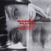 FLUCH (feat. Barré) [Remix] - Single - V:RGO