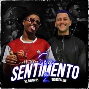 Sem Sentimento 2 (feat. Bigode Flow)