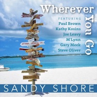 Wherever You Go - Single - Sandy Shore
